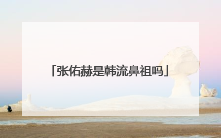 张佑赫是韩流鼻祖吗