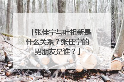 张佳宁与叶祖新是什么关系？张佳宁的男朋友是谁？
