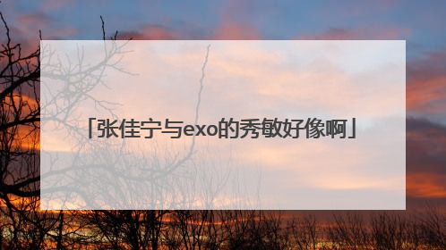 张佳宁与exo的秀敏好像啊