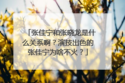 张佳宁和张晓龙是什么关系啊？演技出色的张佳宁为啥不火？