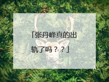 张丹峰真的出轨了吗??