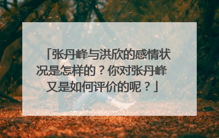 张丹峰与洪欣的感情状况是怎样的?你对张丹峰又是如何评价的呢?