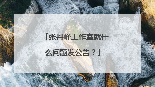 张丹峰工作室就什么问题发公告？
