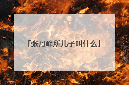 张丹峰所儿子叫什么