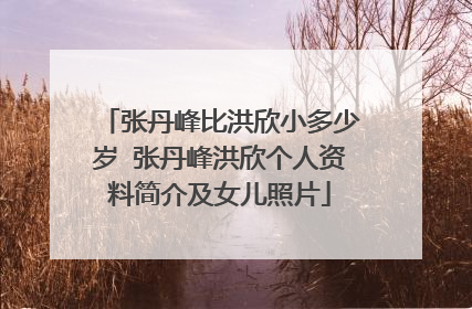 张丹峰比洪欣小多少岁 张丹峰洪欣个人资料简介及女儿照片