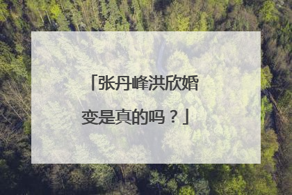张丹峰洪欣婚变是真的吗?
