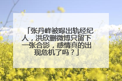 张丹峰被曝出轨经纪人,洪欣删微博只留下一张合影,感情真的出现危机了吗?
