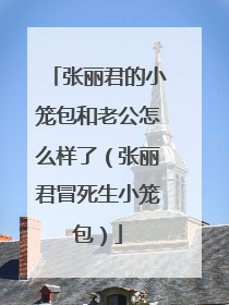 张丽君的小笼包和老公怎么样了（张丽君冒死生小笼包）