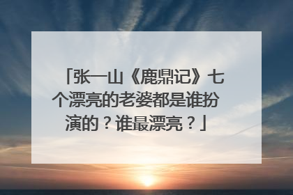 张一山《鹿鼎记》七个漂亮的老婆都是谁扮演的？谁最漂亮？