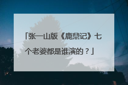 张一山版《鹿鼎记》七个老婆都是谁演的？