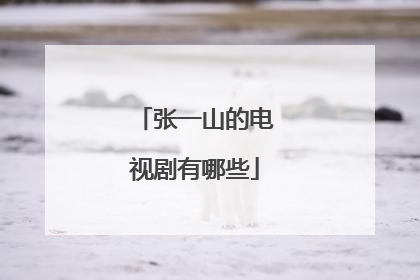 张一山的电视剧有哪些