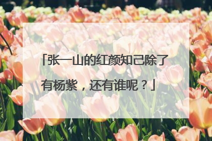 张一山的红颜知己除了有杨紫，还有谁呢？