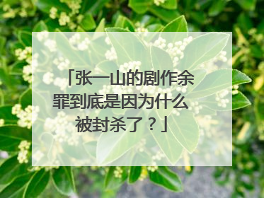 张一山的剧作余罪到底是因为什么被封杀了？