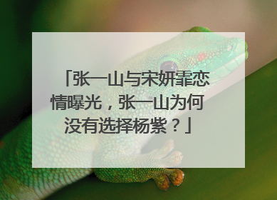 张一山与宋妍霏恋情曝光,张一山为何没有选择杨紫?