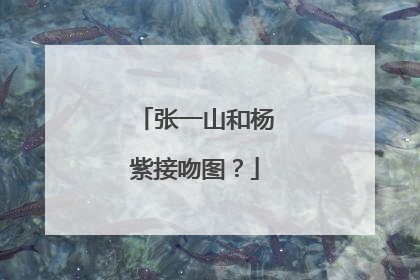 张一山和杨紫接吻图？