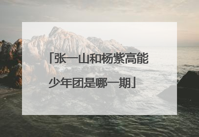 张一山和杨紫高能少年团是哪一期