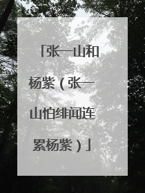 张一山和杨紫（张一山怕绯闻连累杨紫）