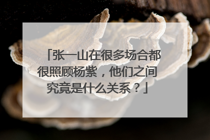 张一山在很多场合都很照顾杨紫，他们之间究竟是什么关系？