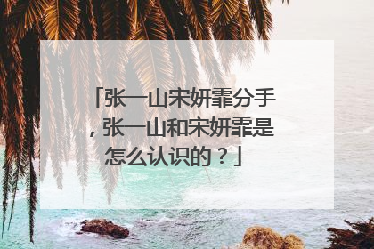 张一山宋妍霏分手，张一山和宋妍霏是怎么认识的？