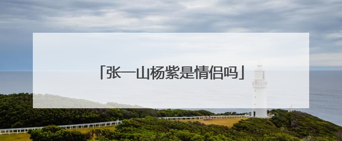 张一山杨紫是情侣吗