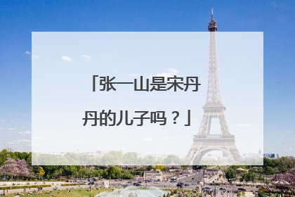 张一山是宋丹丹的儿子吗?