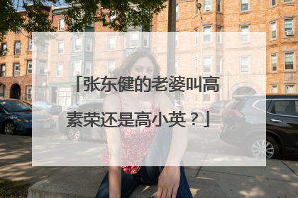 张东健的老婆叫高素荣还是高小英?