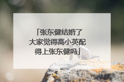 张东健结婚了 大家觉得高小英配得上张东健吗