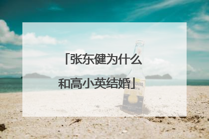 张东健为什么和高小英结婚