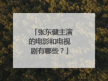 张东健主演的电影和电视剧有哪些?
