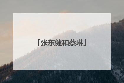 张东健和蔡琳