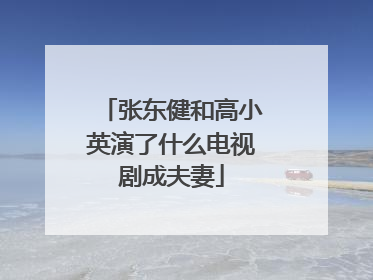 张东健和高小英演了什么电视剧成夫妻