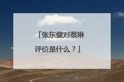 张东健对蔡琳评价是什么?