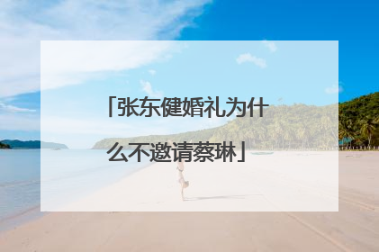 张东健婚礼为什么不邀请蔡琳
