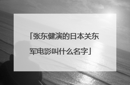张东健演的日本关东军电影叫什么名字
