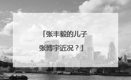 张丰毅的儿子张博宇近况?