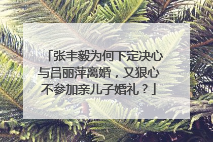 张丰毅为何下定决心与吕丽萍离婚，又狠心不参加亲儿子婚礼？