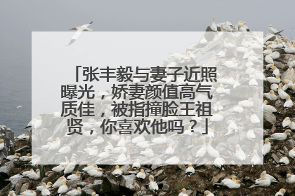 张丰毅与妻子近照曝光,娇妻颜值高气质佳,被指撞脸王祖贤,你喜欢他吗?