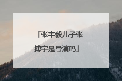 张丰毅儿子张搏宇是导演吗