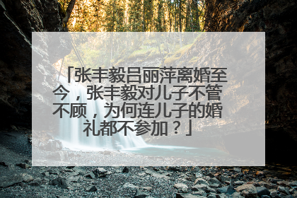 张丰毅吕丽萍离婚至今，张丰毅对儿子不管不顾，为何连儿子的婚礼都不参加？