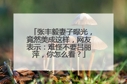 张丰毅妻子曝光，竟然美成这样，网友表示：难怪不要吕丽萍，你怎么看？