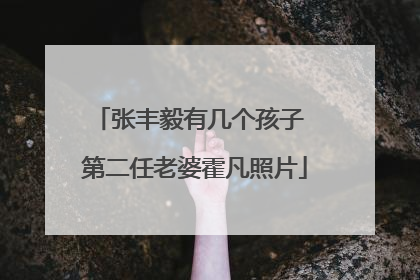 张丰毅有几个孩子 第二任老婆霍凡照片