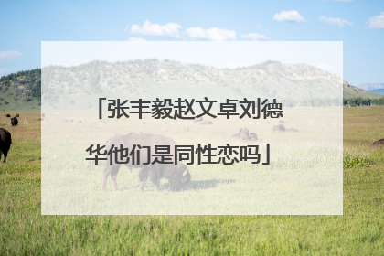 张丰毅赵文卓刘德华他们是同性恋吗