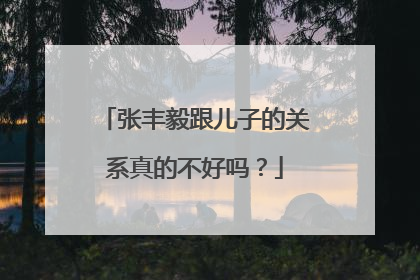 张丰毅跟儿子的关系真的不好吗？