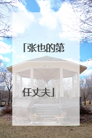 张也的第任丈夫