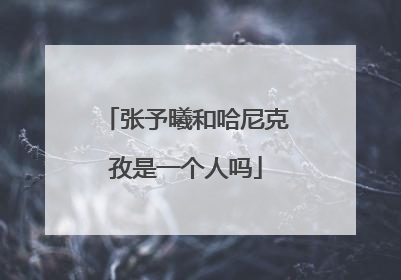 张予曦和哈尼克孜是一个人吗