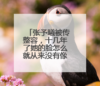 张予曦被传整容，十几年了她的脸怎么就从来没有像其他明星僵过或崩过呢？