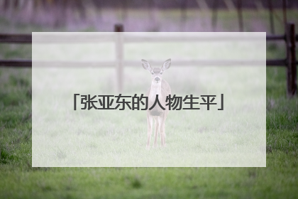 张亚东的人物生平