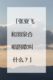 张亚飞和羽泉合唱的歌叫什么？