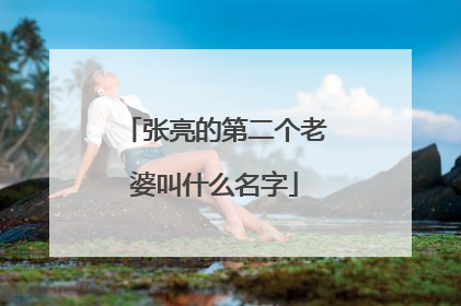 张亮的第二个老婆叫什么名字