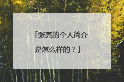 张亮的个人简介是怎么样的？